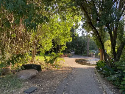 A brick path curving through the gardens past a lily-covered pond, hemmed in by bamboo clumps and low palms with late-afternoon sun coming through the canopy.