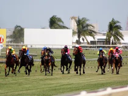 Nine horses and jockeys in bright silks racing along the turf beside the white running rail, with palm trees and low industrial sheds visible beyond the outside fence.