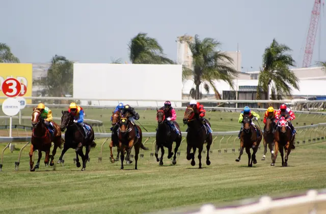 Nine horses and jockeys in bright silks racing along the turf beside the white running rail, with palm trees and low industrial sheds visible beyond the outside fence.