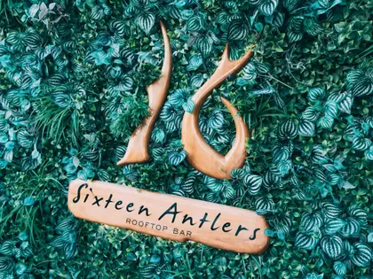 A wall densely packed with artificial green foliage — striped heart-shaped leaves, ferns and grasses — with two carved wooden antlers mounted on it above a wooden board hand-lettered "Sixteen Antlers Rooftop Bar".