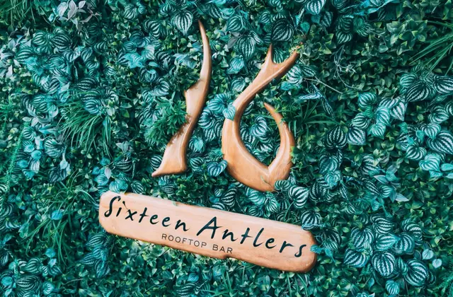 A wall densely packed with artificial green foliage — striped heart-shaped leaves, ferns and grasses — with two carved wooden antlers mounted on it above a wooden board hand-lettered "Sixteen Antlers Rooftop Bar".